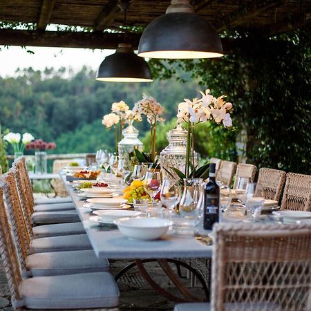 Villa Domus Francigena Λούκα Εξωτερικό φωτογραφία